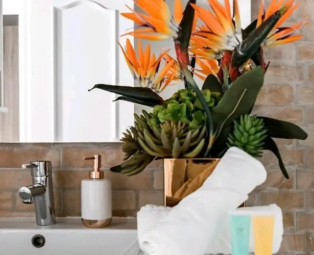 Appartamento Piso En El Corazon De License Ess00262 *