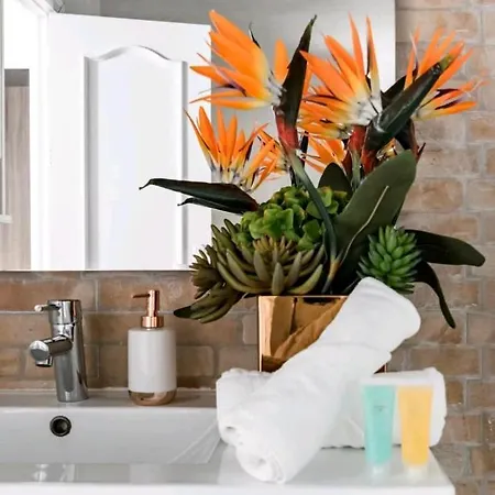 公寓 Piso En El Corazon De License Ess00262 *